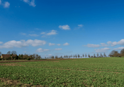 Scenic Willow Creek County acreage for sale with views of the Porcupine Hills